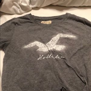 Grey hollister t-shirt